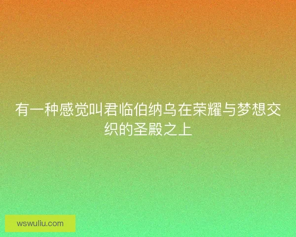 有一种感觉叫君临伯纳乌在荣耀与梦想交织的圣殿之上