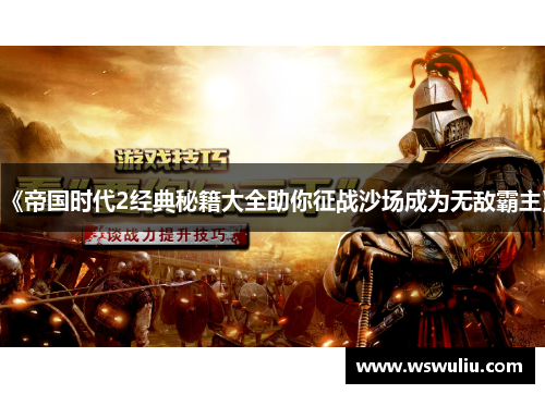 《帝国时代2经典秘籍大全助你征战沙场成为无敌霸主》