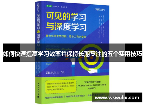 如何快速提高学习效率并保持长期专注的五个实用技巧
