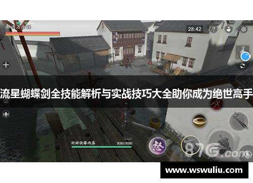 流星蝴蝶剑全技能解析与实战技巧大全助你成为绝世高手