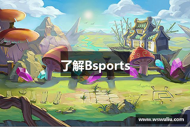 了解Bsports